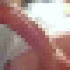 Sebastian_1982
