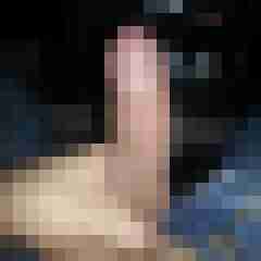 dondid84