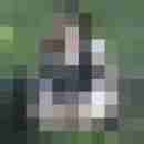 Paarer37sie33bi