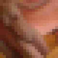 Timg