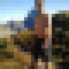 trif_1