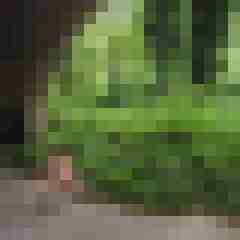seemann0706