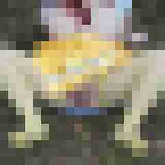 Nylongeiles_Paar
