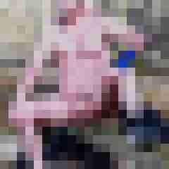 stierodin53