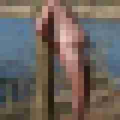 stierodin53