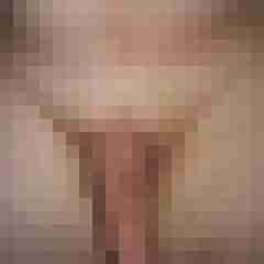 Falko79