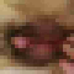 fickpaar55