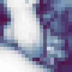 Tom_LM