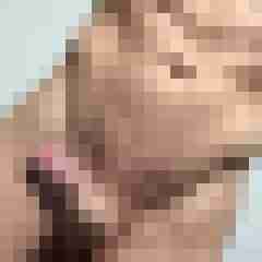 stallionphil