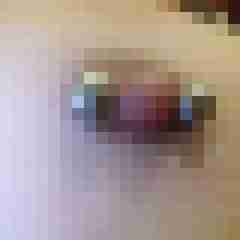 LeChat