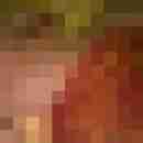 harmonyser
