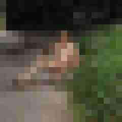 seemann0706