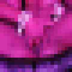 seemann0706