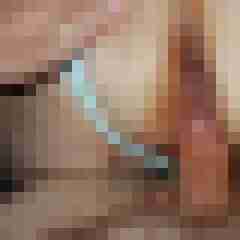 fickpaar55