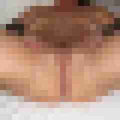 gebieter61