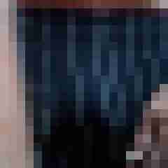 wolf_1b