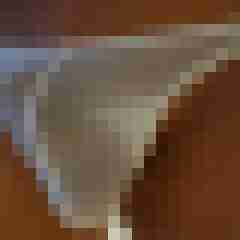 tskane