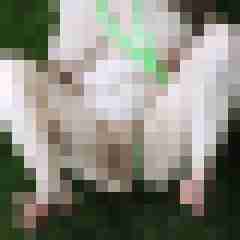 Nylongeiles_Paar