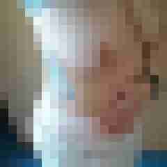 Mistbiene