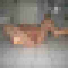 FickSchweine69