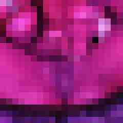 seemann0706