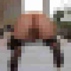 nylonlover65