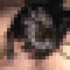 dickerchen73