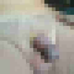 andy073