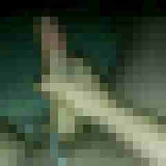 bigbiggunna4