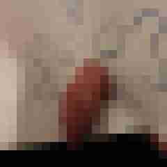 funratte