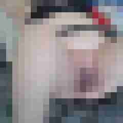 molly_maus