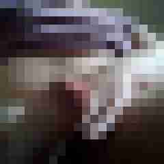 lex_bi89