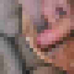 seemann0706