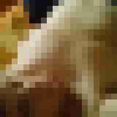 Mistbiene