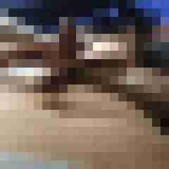 gorden2