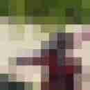 schleck_baer