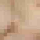 sh_81