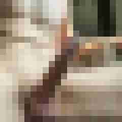 shavedcock7