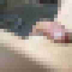 shavedcock7