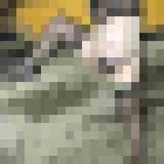 Nylongeiles_Paar