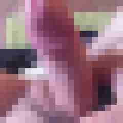 Stecher2105
