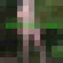 spanner_ww