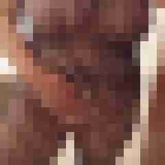 chivio