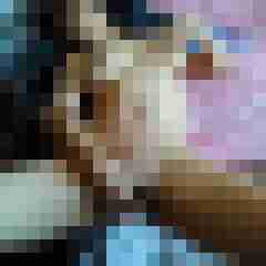 gerrycn