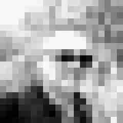 mvleo