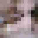 Rasiertes