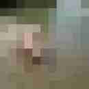 Hazaspar