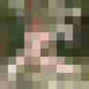 rolf_gruen
