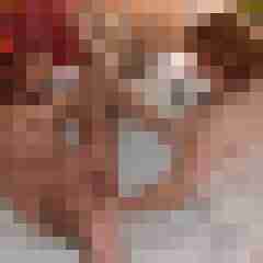 Carlchen