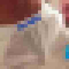 patte83